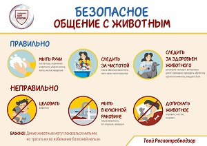 Приложение Приложение 6 БЕЗОПАСНОЕ ОБЩЕНИЕ С ЖИВОТНЫМ page 0001 к вх. письмо ВХ.20 10180 25 от 02.0